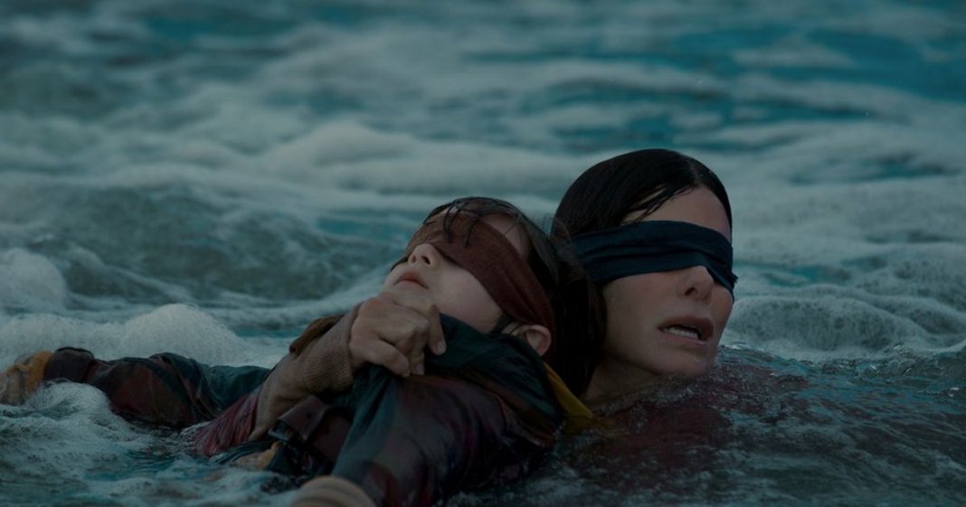 A verdade por trás do filme BIRD BOX. Tire a venda dos seus próprios olhos.