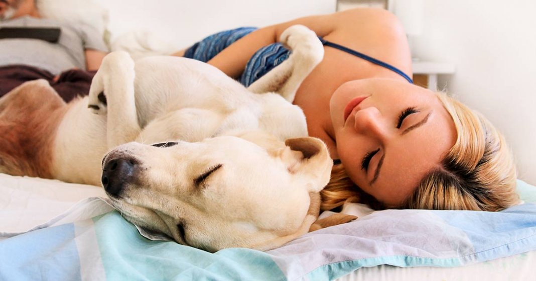 As mulheres dormem melhor com um cachorro na cama