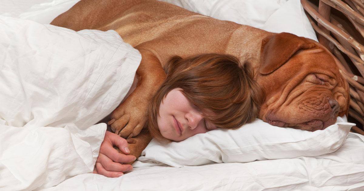 seuamigoguru.com - As mulheres dormem melhor com um cachorro na cama