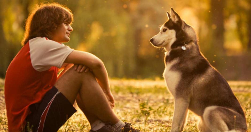 Estudo comprova que olhar nos olhos do seu cão faz com que seu corpo produza o hormônio do amor!