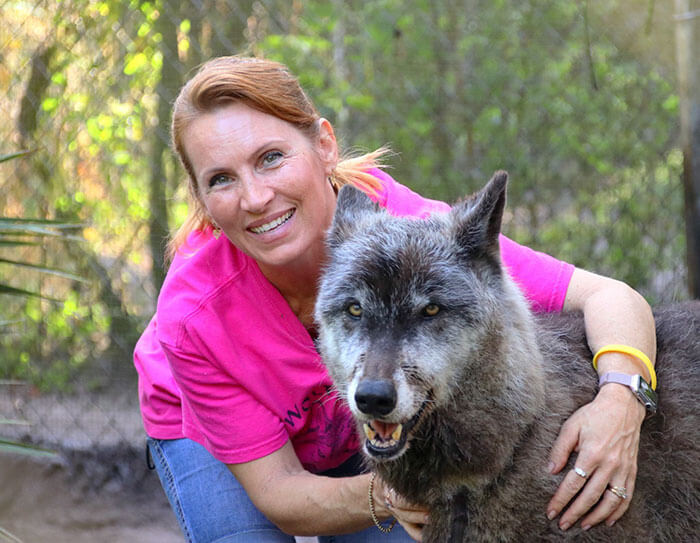 Um lobo com atitudes de cachorro escapou da morte ao ser resgatado, mas não do câncer terminal que foi descoberto tempos depois.