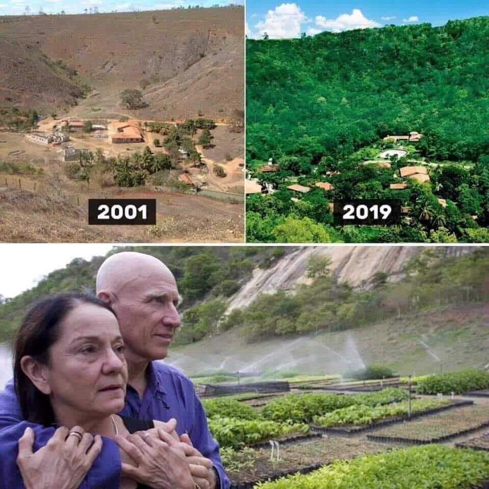 seuamigoguru.com - Fotógrafo e Esposa plantaram juntos 2 Milhões De Árvores em 20 Anos e recuperaram uma floresta destruída.