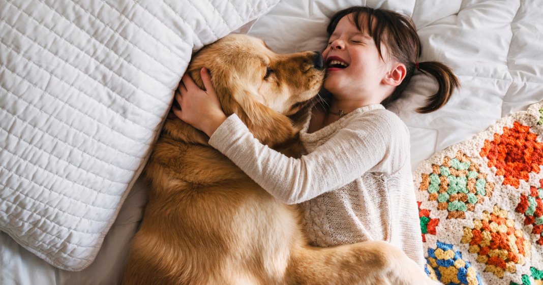 Os cães possuem emoções comparáveis a de uma criança, revela estudo