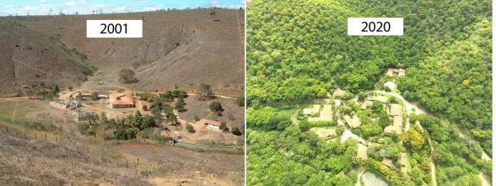 Fotógrafo e Esposa plantaram juntos 2 Milhões De Árvores em 20 Anos e recuperaram uma floresta destruída.