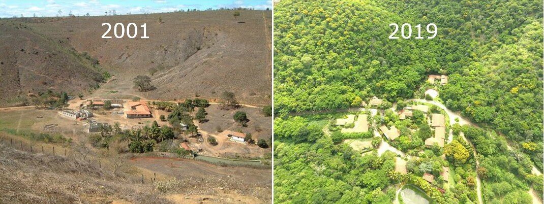 seuamigoguru.com - Fotógrafo e Esposa plantaram juntos 2 Milhões De Árvores em 20 Anos e recuperaram uma floresta destruída.