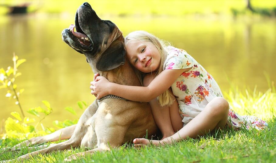 Quem tem um cachorro em sua vida tem um tesouro