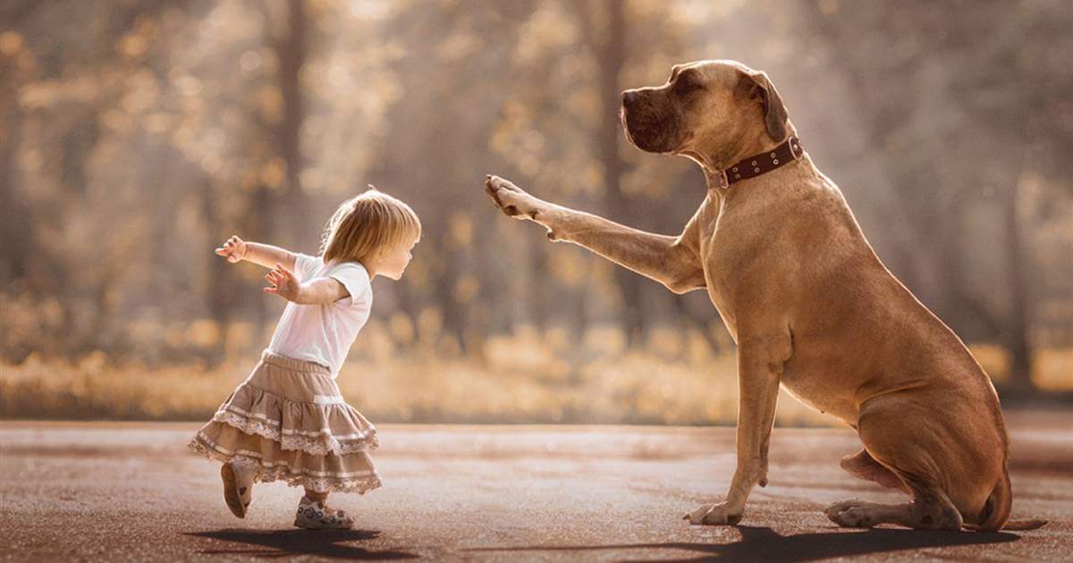 sabe-porque-os-cachorros-nao-falam-para-que-a-gente-aprenda-que-amor-fidelidade-e-lealdade-se-demonstram-com-acoes-e-nao-com-palavras