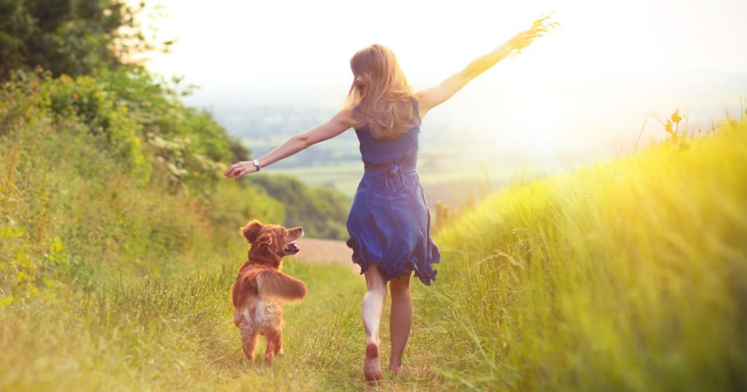 Que a vida seja leve! E que você consiga se sentir feliz e grato pelas pequenas coisas!