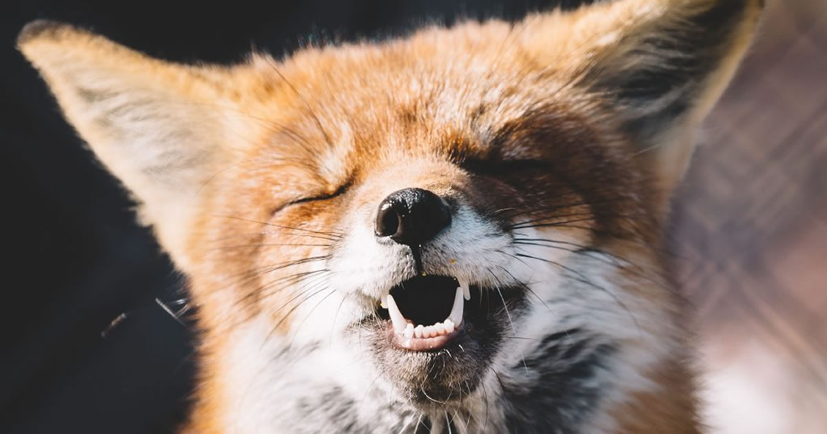 que-a-vida-seja-leve-e-que-voce-consiga-se-sentir-feliz-e-grato-pelas-pequenas-coisas