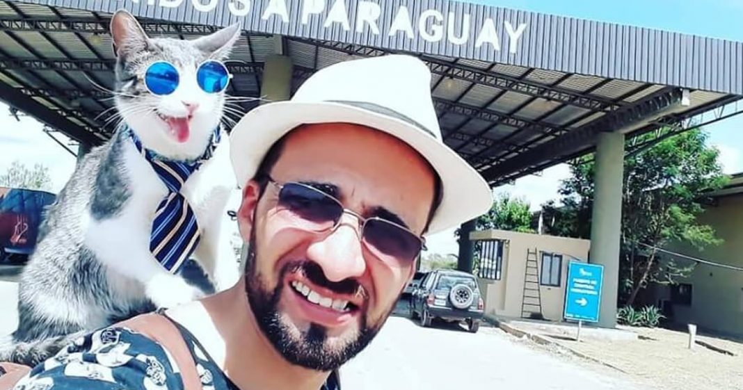 Conheça o “Gato Mochileiro” que está viajando com o dono pelo mundo!