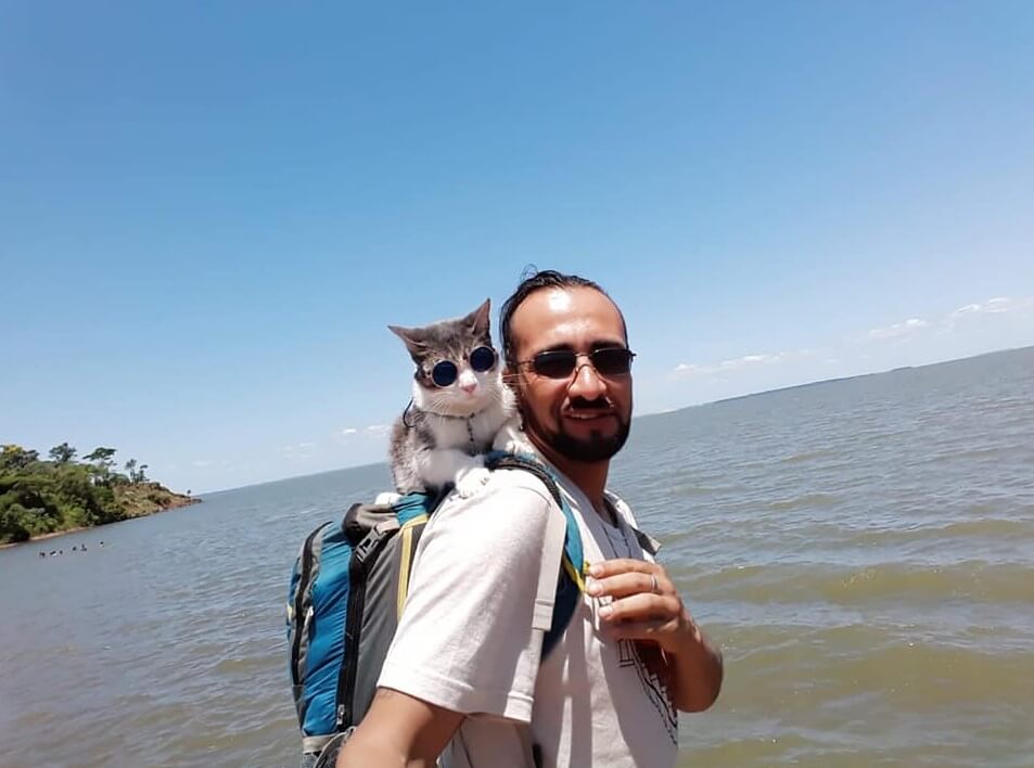 seuamigoguru.com - Conheça o “Gato Mochileiro” que está viajando com o dono pelo mundo!