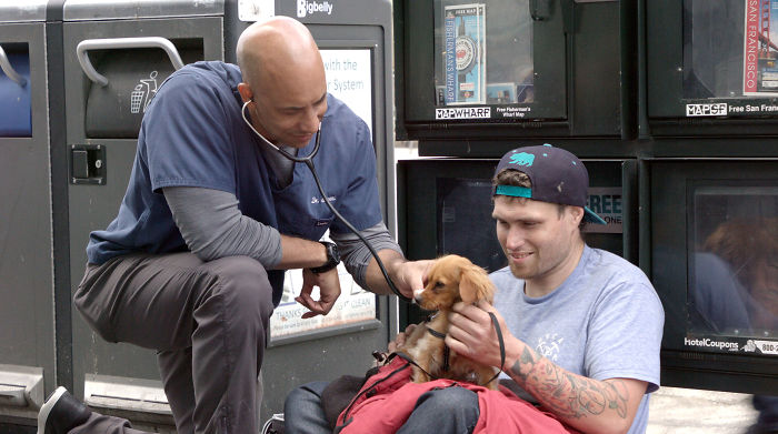 agrandeartedeserfeliz.com - Veterinário dedica seu tempo livre aos animais de rua e atende de graça