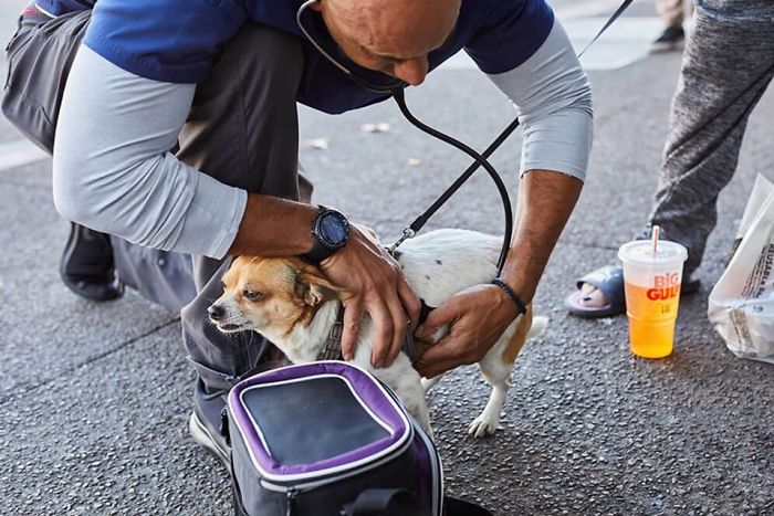 seuamigoguru.com - Veterinário dedica seu tempo livre aos animais de rua e atende de graça