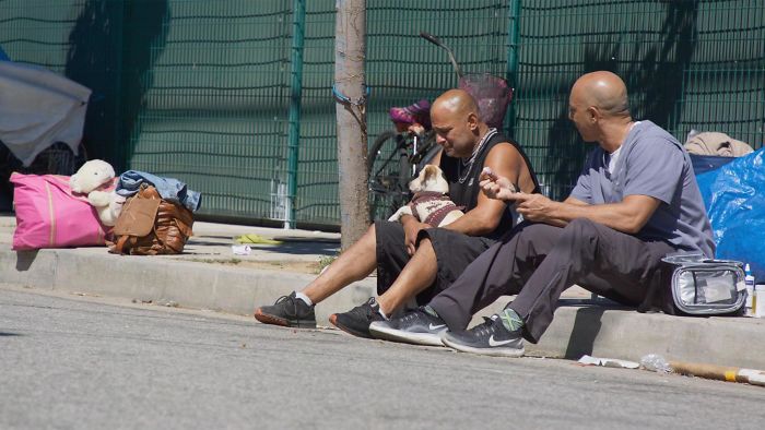 agrandeartedeserfeliz.com - Veterinário dedica seu tempo livre aos animais de rua e atende de graça