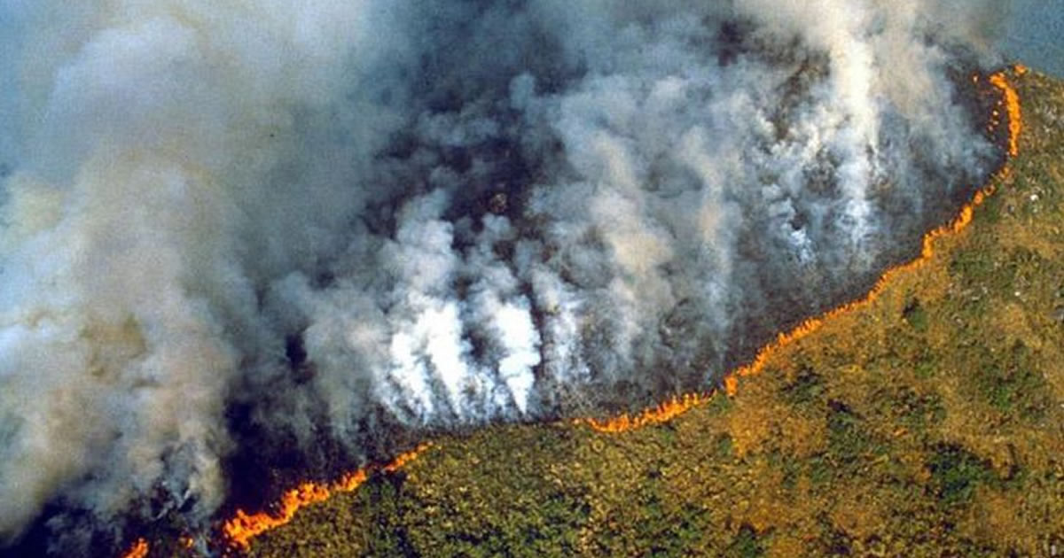 seuamigoguru.com - A Amazônia teve seu pior junho em 13 anos devido a incêndios florestais. A ameaça é real.