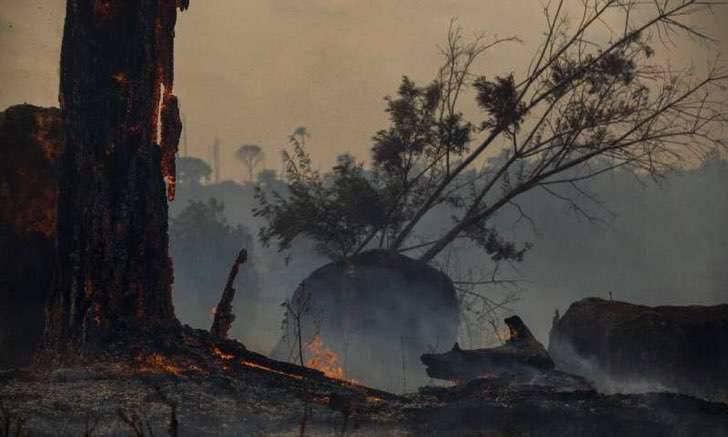 seuamigoguru.com - A Amazônia teve seu pior junho em 13 anos devido a incêndios florestais. A ameaça é real.