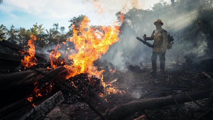 seuamigoguru.com - A Amazônia teve seu pior junho em 13 anos devido a incêndios florestais. A ameaça é real.