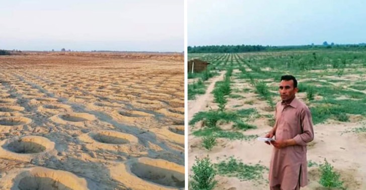 Eles plantaram 10 bilhões de árvores e transformaram um deserto em uma floresta exuberante!