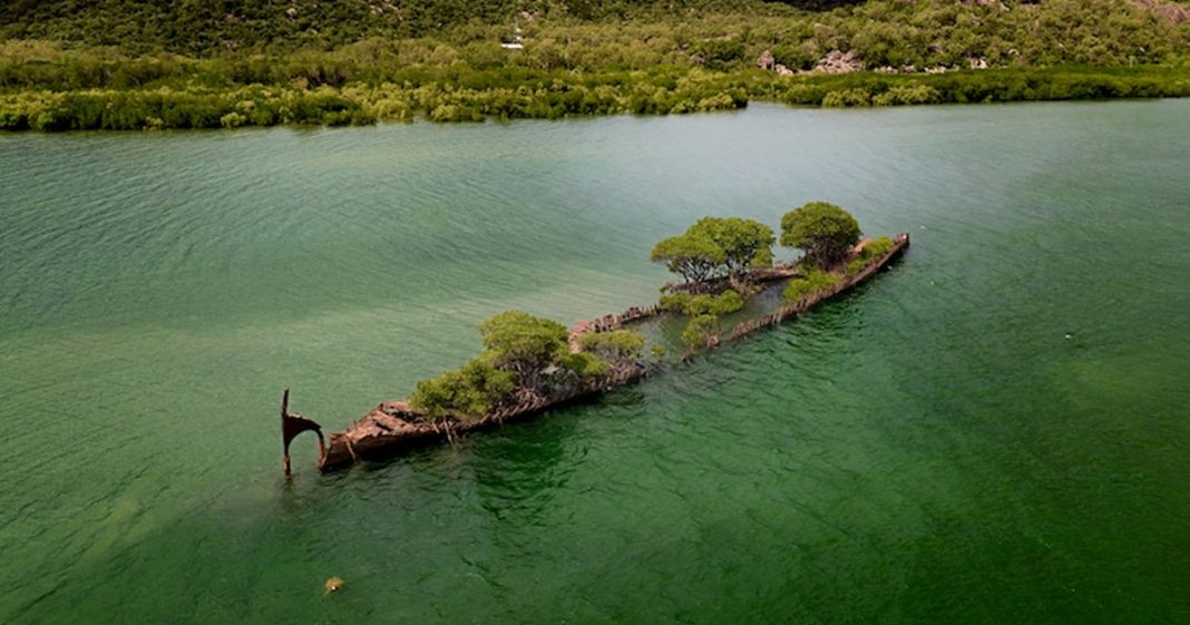 Espetáculo: Natureza se apodera de navio que naufragou há mais de 100 anos