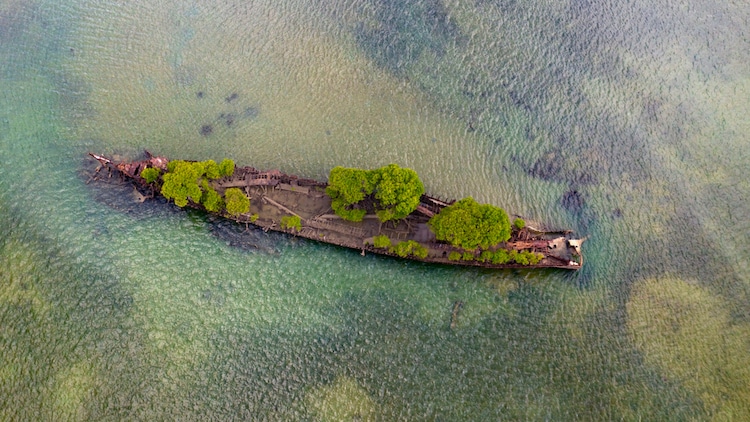 seuamigoguru.com - Espetáculo: Natureza se apodera de navio que naufragou há mais de 100 anos
