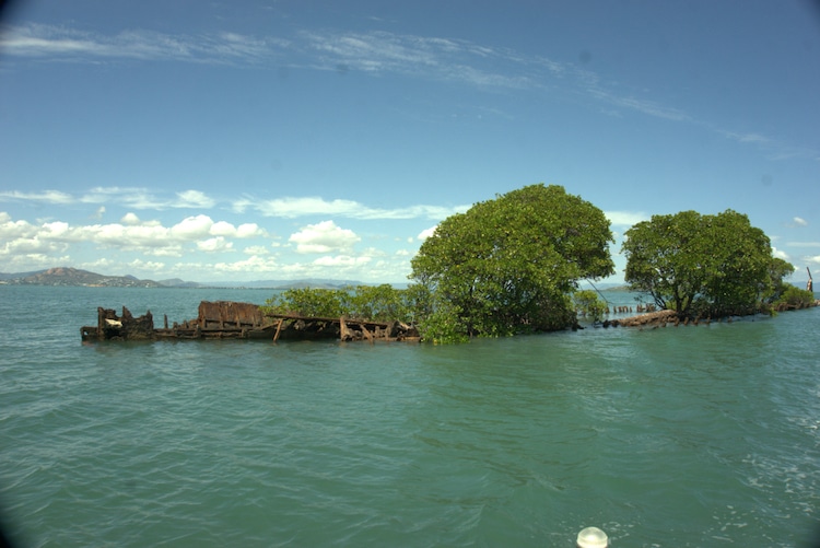 seuamigoguru.com - Espetáculo: Natureza se apodera de navio que naufragou há mais de 100 anos