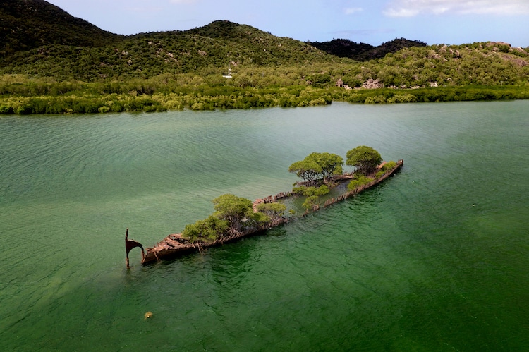 seuamigoguru.com - Espetáculo: Natureza se apodera de navio que naufragou há mais de 100 anos