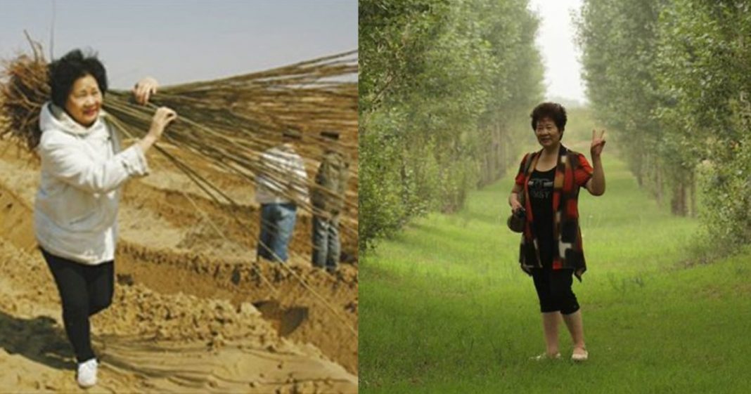 Mãe planta 2 milhões de árvores em homenagem ao seu filho falecido