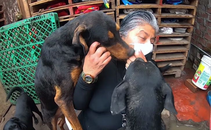 protetora-dos-animais-recolhe-cachorros-de-rua-em-sua-casa