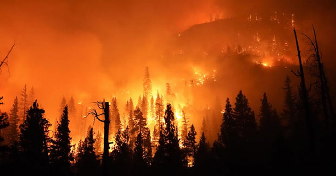 Terra bate recorde de calor e poderá chegar a ser o ano mais quente da história!