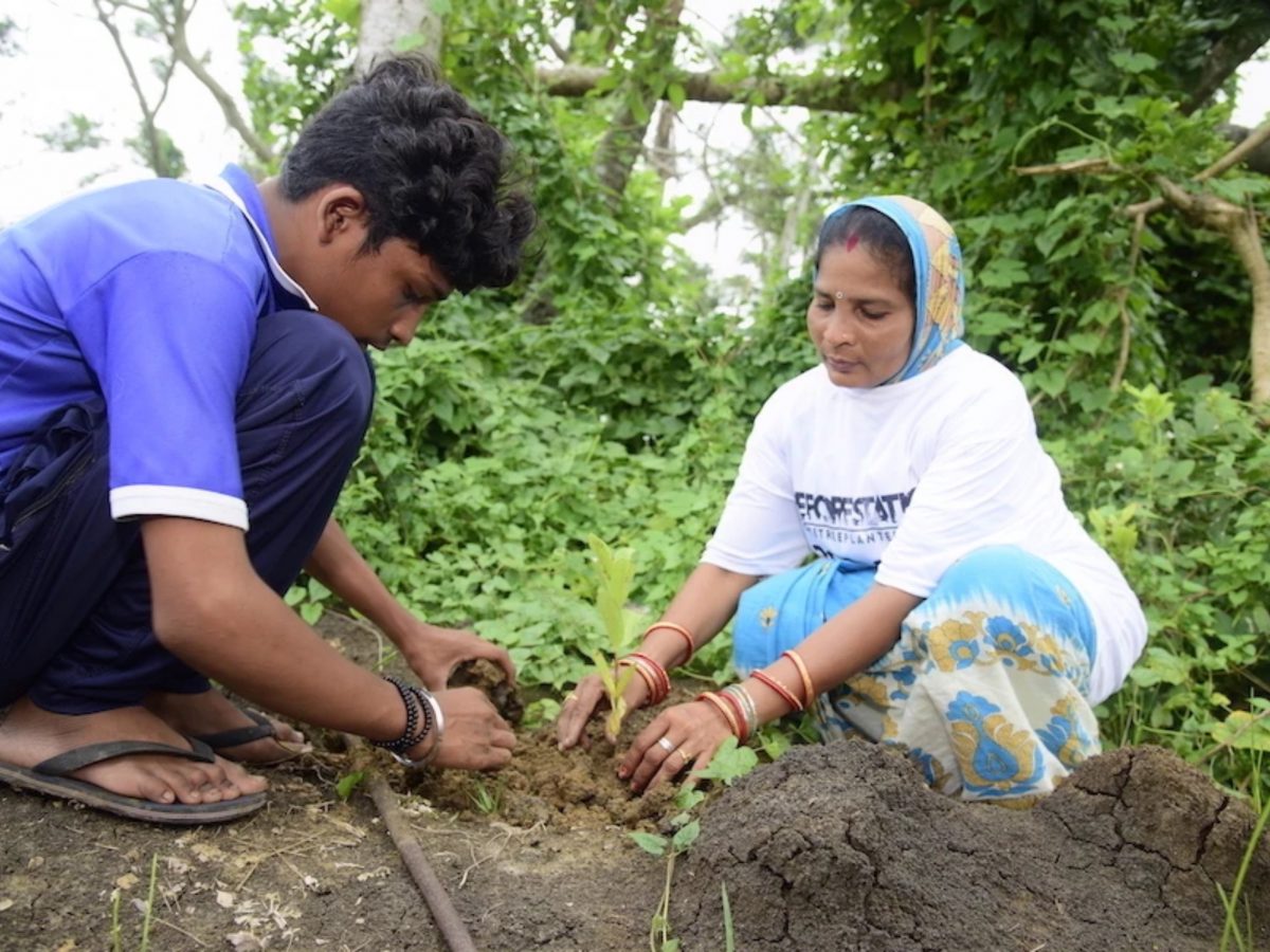 seuamigoguru.com - 1 MILHÃO DE ÁRVORES FRUTÍFERAS PLANTADAS NA ÍNDIA ESTE ANO PARA COMBATER A FOME