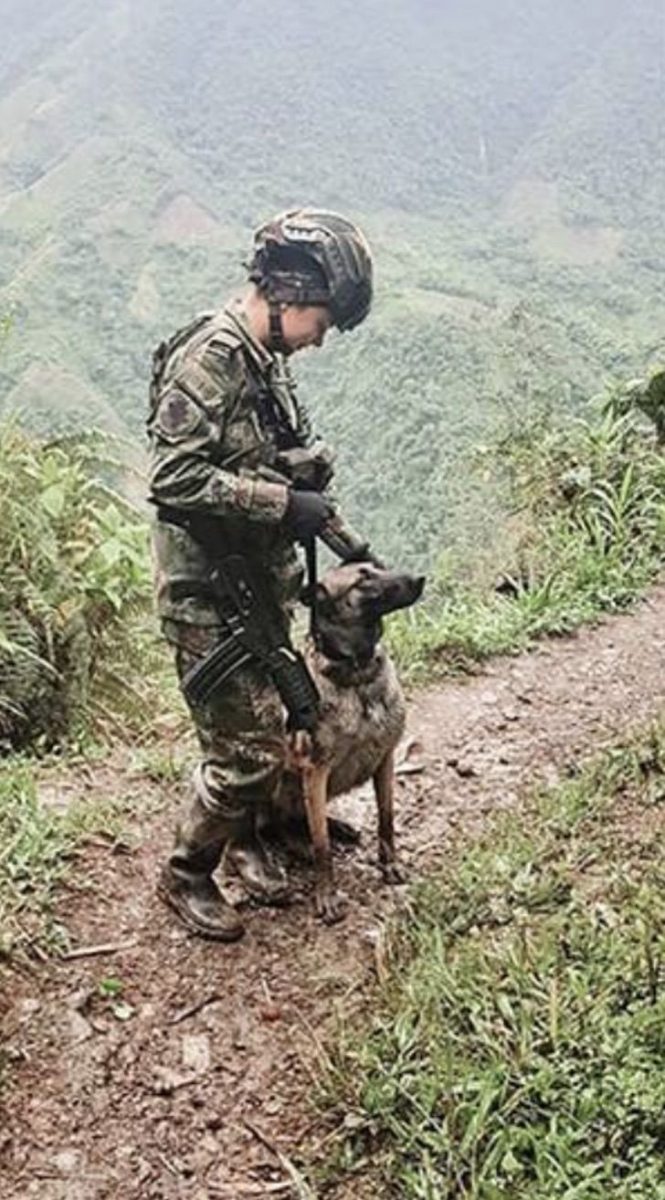 seuamigoguru.com - Pela primeira vez na história uma mulher comanda o exército colombiano