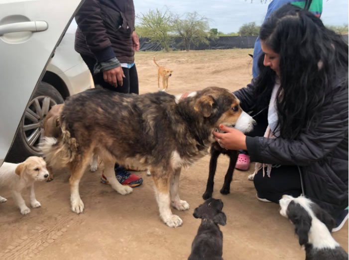 seuamigoguru.com - Criança adota cão idoso para que ele possa sentir amor antes de partir.