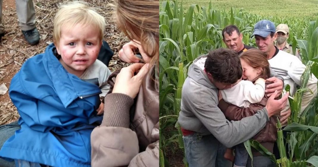 Depois de 16 horas perdido em milharal, criança é encontrada no Paraná.