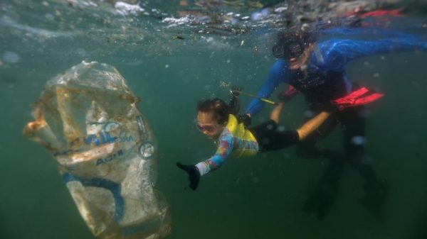 seuamigoguru.com - Aos 4 anos, mais jovem ambientalista ganha prêmio por ajudar a limpar praias no RJ