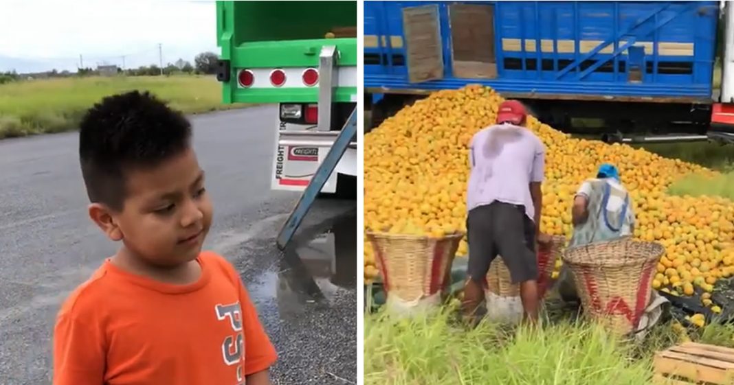 Menino pede para comprar laranjas enquanto adultos saqueiam caminhão: “Para que roubar?”