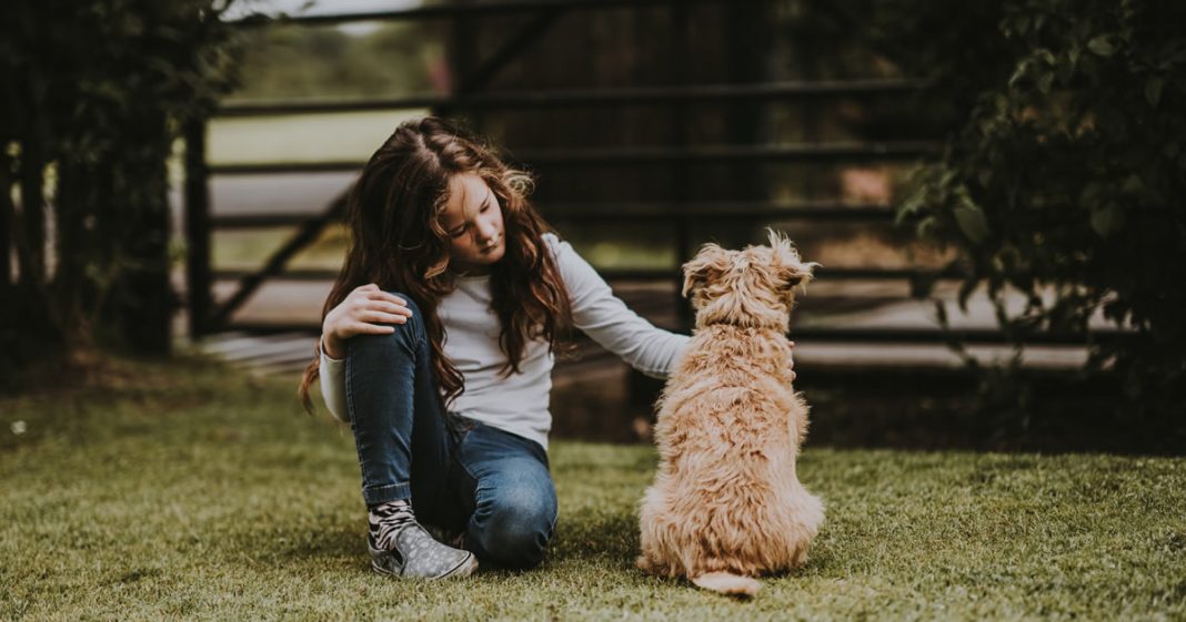 O legado emocional que meu cachorro deixou na minha infância