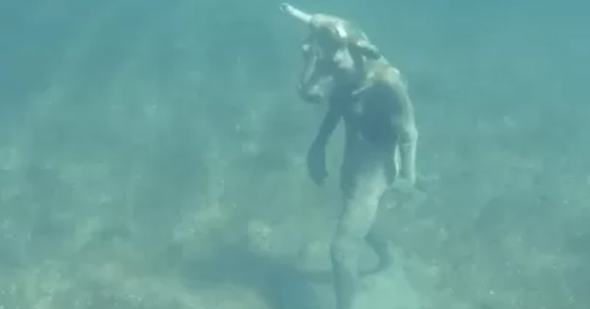 seuamigoguru.com - Turistas se assustam com Minotauro no fundo de lago Mari Menuco, na Argentina.