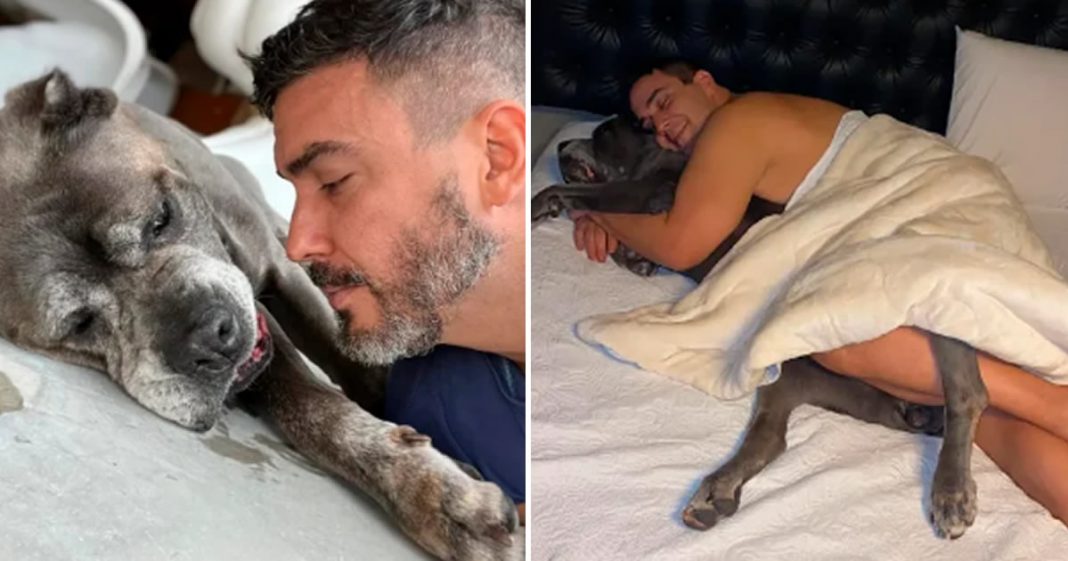 André Marques posta foto dormindo com o cão. Quem adora dormir assim?