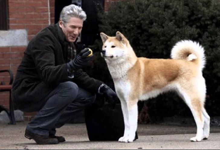 seuamigoguru.com - AMOR ALÉM DA VIDA: Hachiko, o cão que esperou seu dono morto por 9 anos