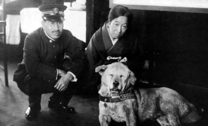 seuamigoguru.com - AMOR ALÉM DA VIDA: Hachiko, o cão que esperou seu dono morto por 9 anos