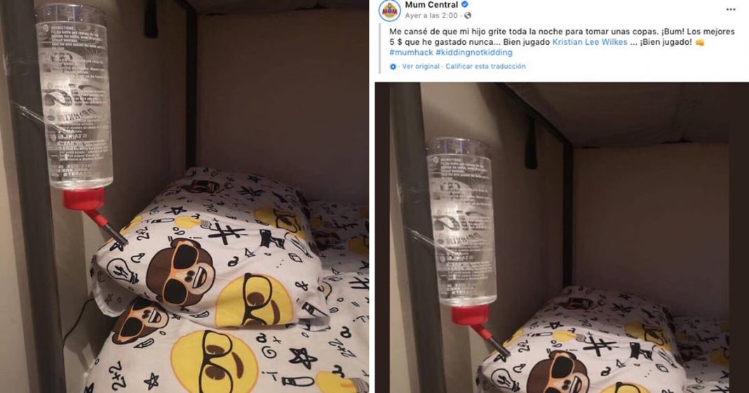 Mãe coloca bebedouro “de coelho” na cama do filho, para que ele não a acorde para beber água à noite