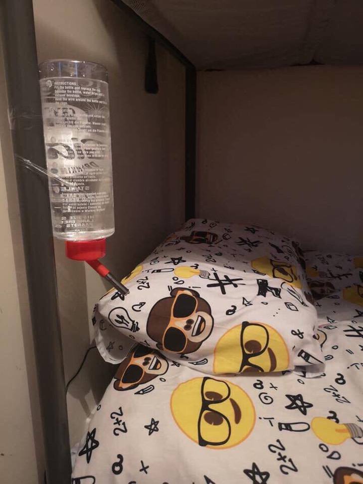 seuamigoguru.com - Mãe coloca bebedouro “de coelho” na cama do filho, para que ele não a acorde para beber água à noite