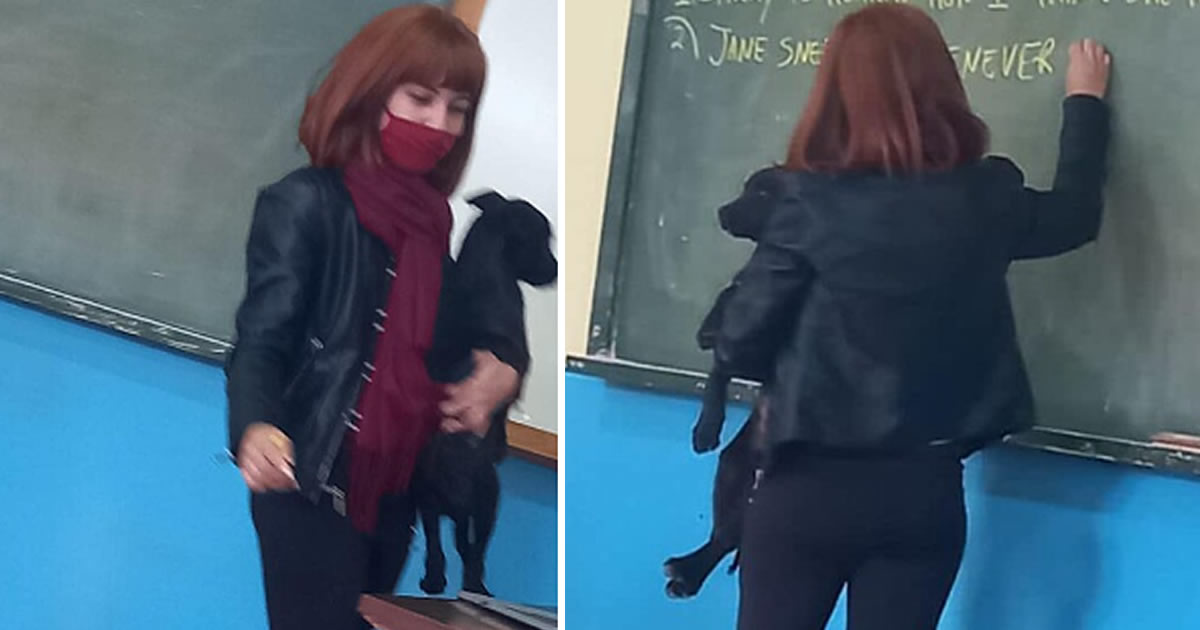 seuamigoguru.com - Professora dá aula segurando cachorrinha que invadiu sala no colo