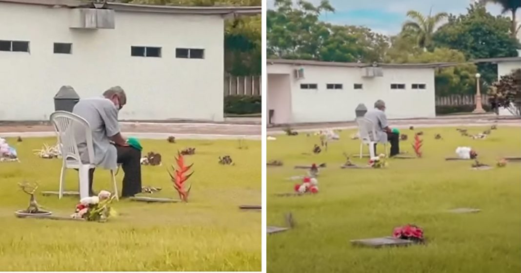 Vovô visita o túmulo de sua esposa todo Natal há 5 anos para conversar com ela