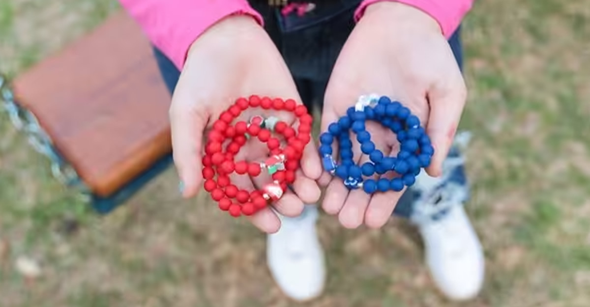 seuamigoguru.com - Menina de 8 anos constrói parque na escola com dinheiro da venda de pulseiras