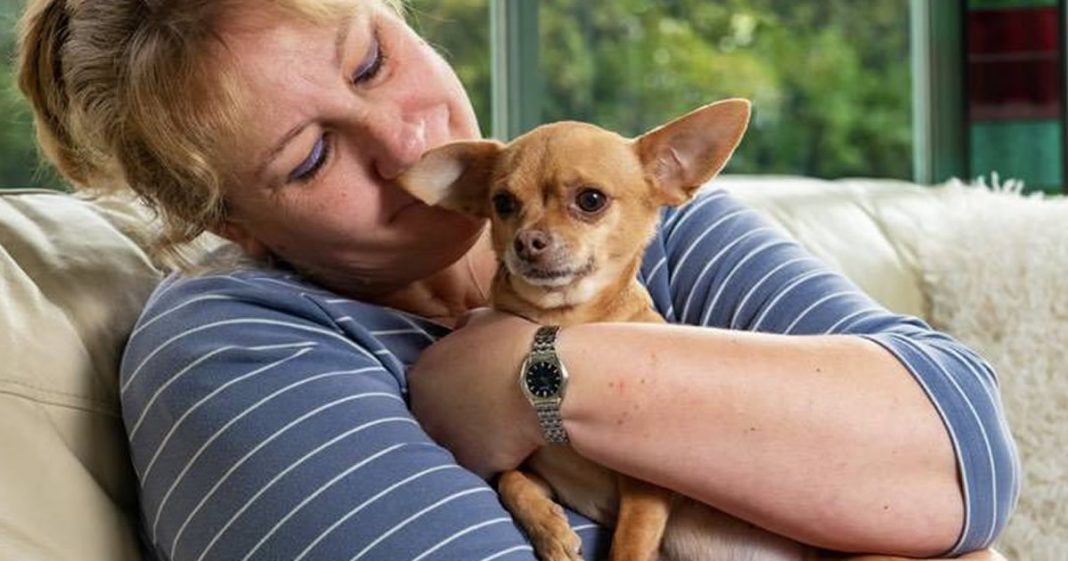 Mulher vende carro e usa herança para salvar a vida do cachorrinho: “Eu o amo muito”