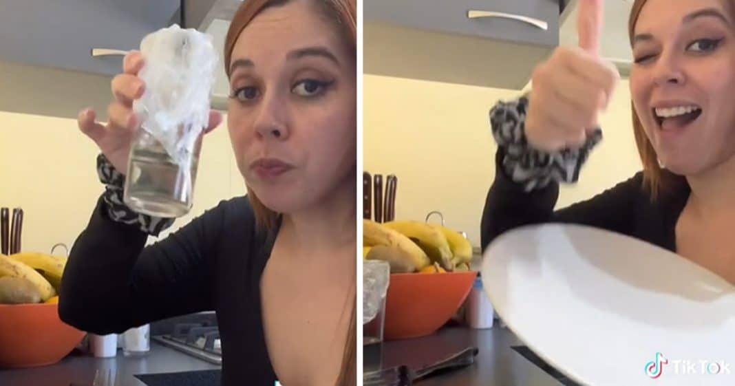 Mãe embrulha comida em plástico para não ter que lavar louça: “gênia” ou “tola”?